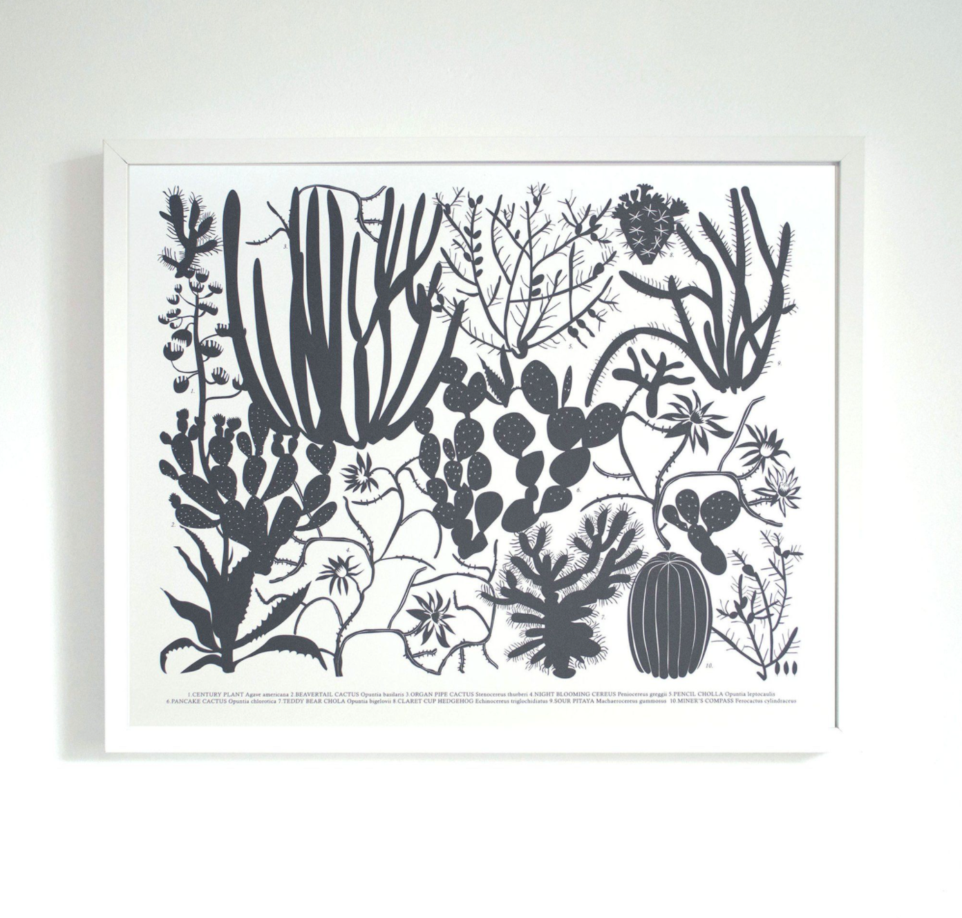 Framed print of screenprint on white wall; screenprint is various black cactuses placed close together  