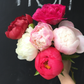 Peony Bunch