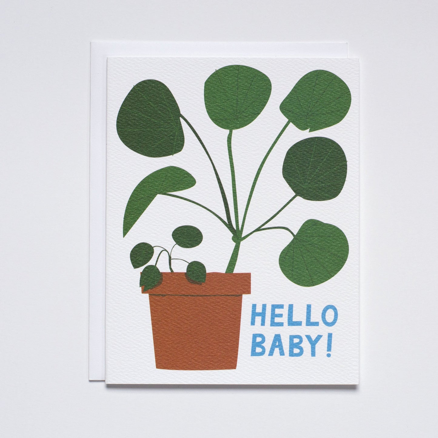 Card: Pilea Hello Baby!