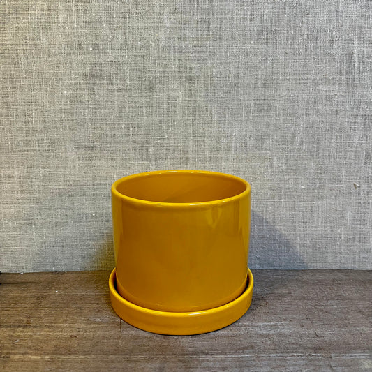 Ceramic Pot - Yellow Mustard with Saucer