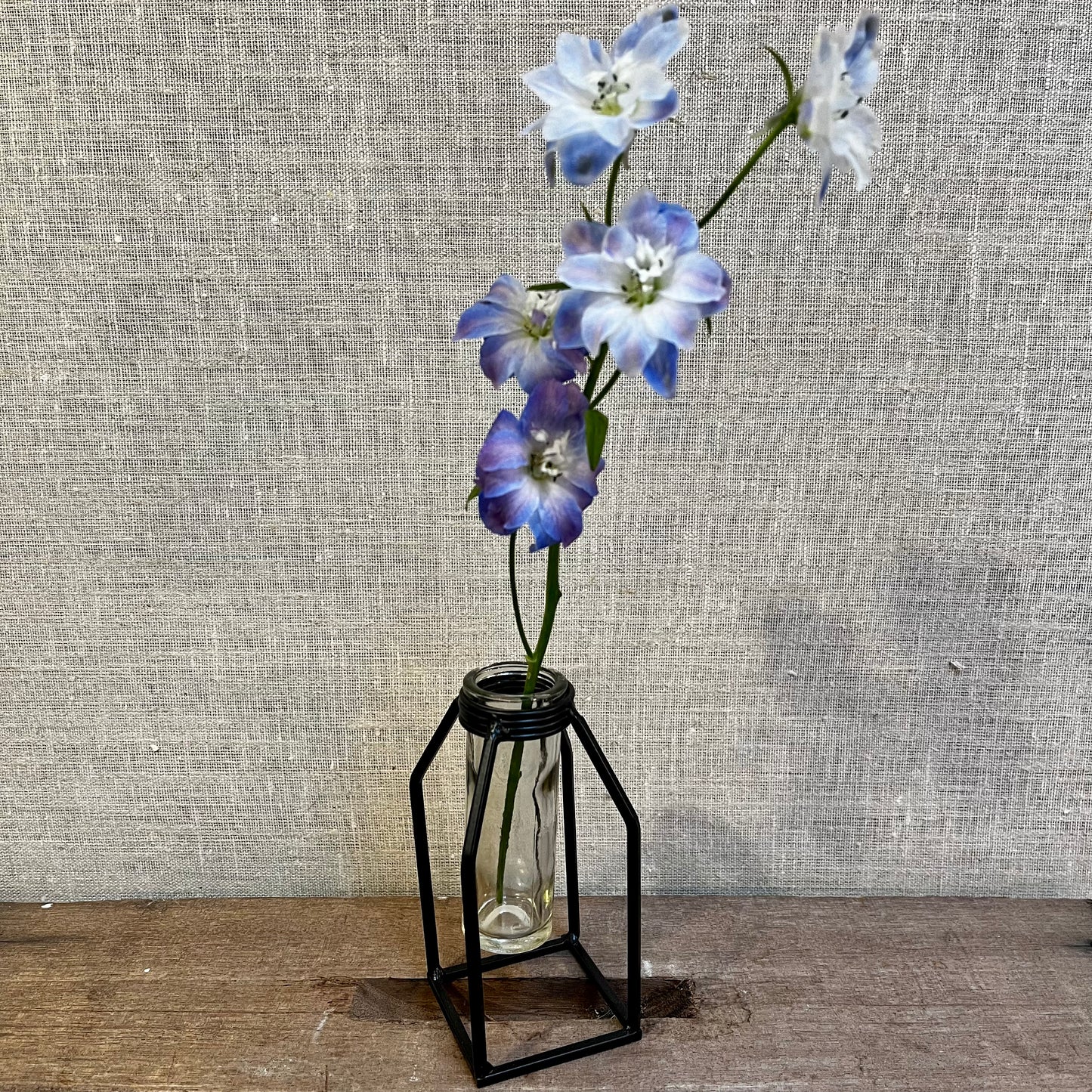 Bud Vase - Metal Frame