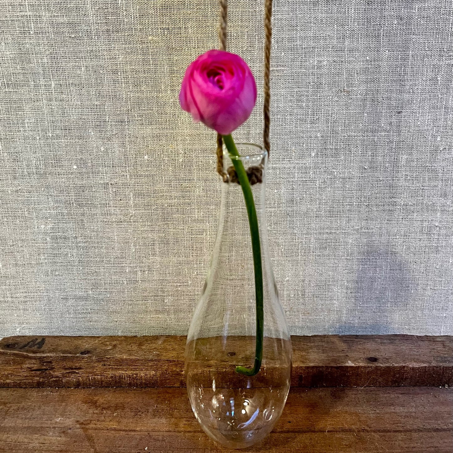Bud Vase - Hanging